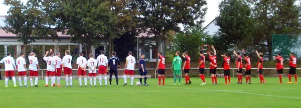 03.10.2016 SV Gommersheim 1945 vs. FV Berghausen